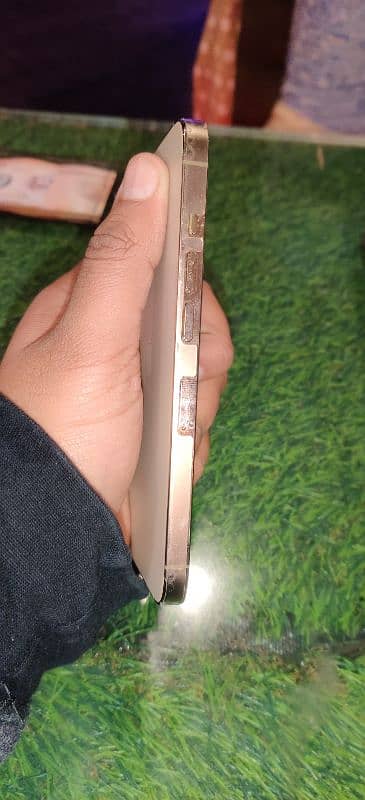 Iphone 13 Pro Gold 256GB 3