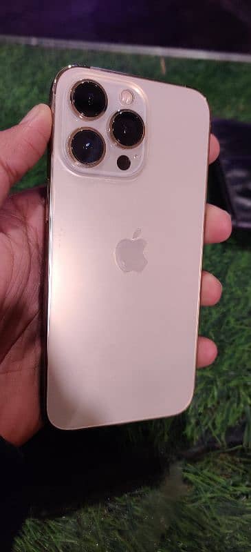 Iphone 13 Pro Gold 256GB 5