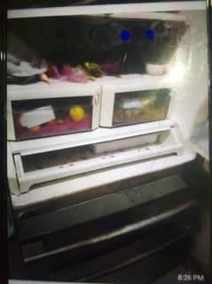 Haier Double door fridge