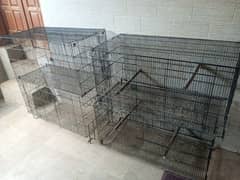 Bird cage for sale