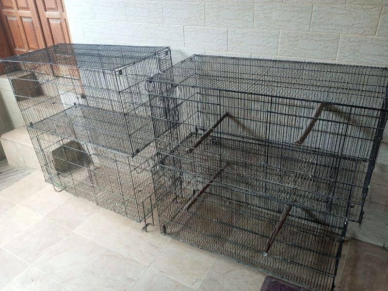 Bird cage for sale 0