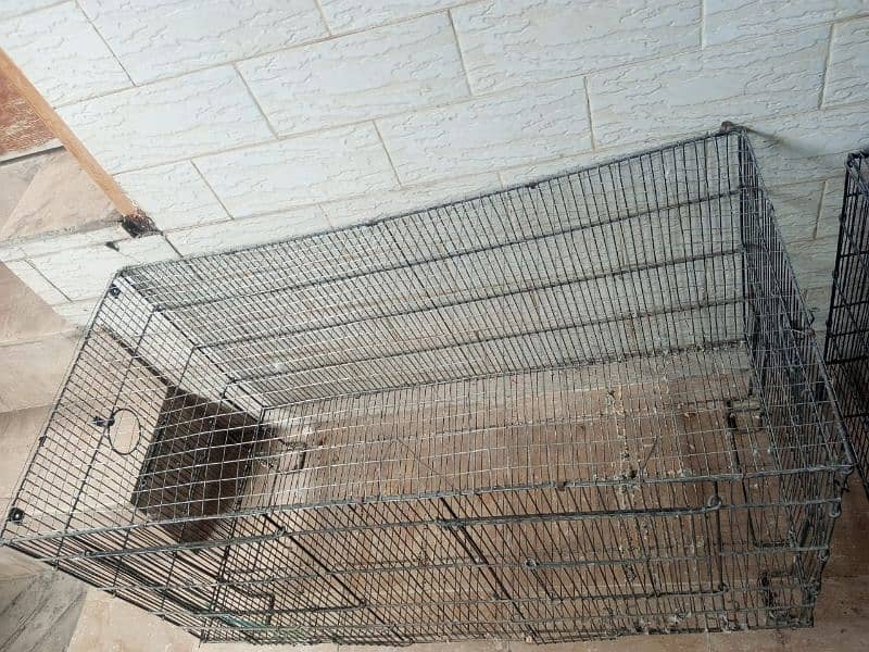 Bird cage for sale 1