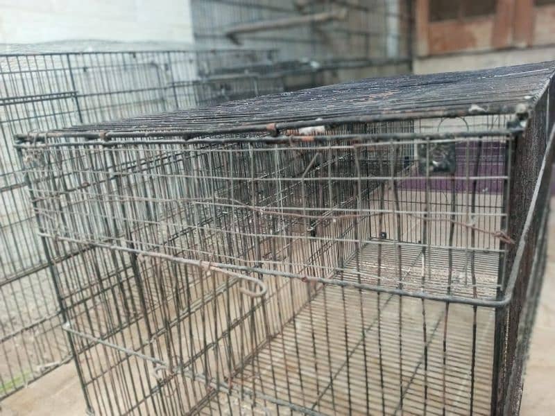 Bird cage for sale 2