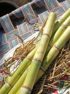 Sugarcane/Jaggery (100% Organic)