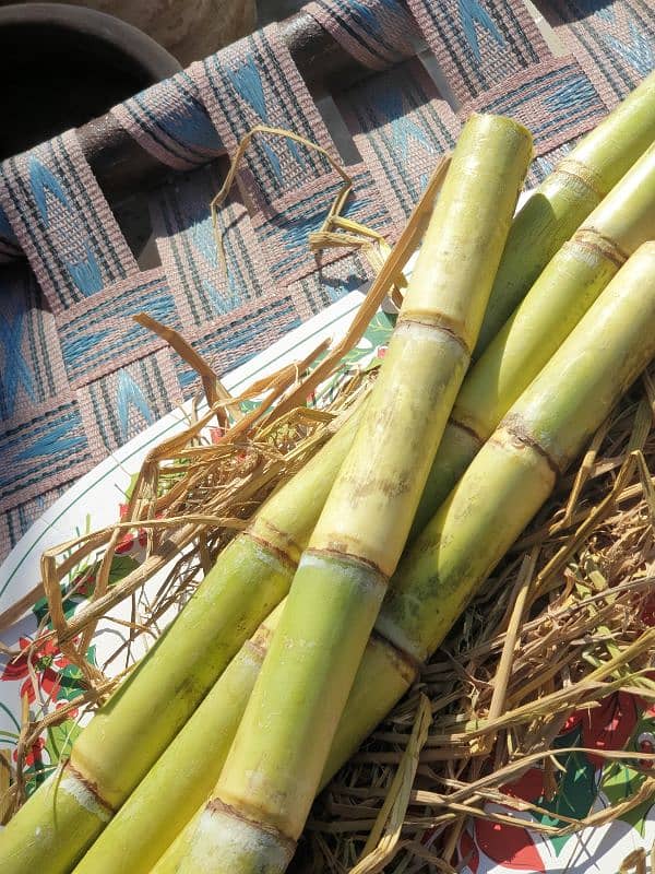 Sugarcane/Jaggery (100% Organic) 0