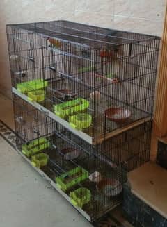 Cage For Sale