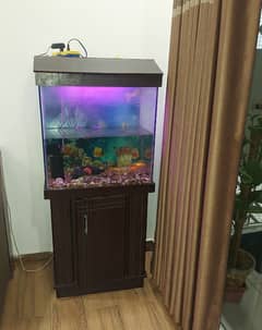 Fish Aquarium