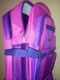 School Bags for Girls & Boys for Class 5 to 8