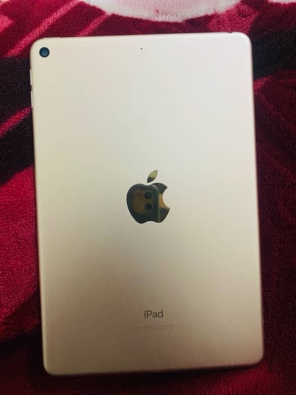 iPad mini5 1