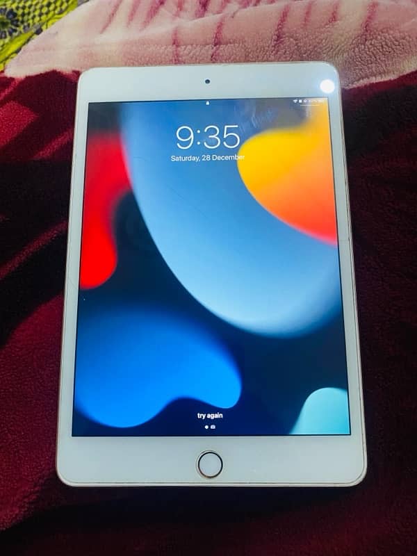 iPad mini5 3