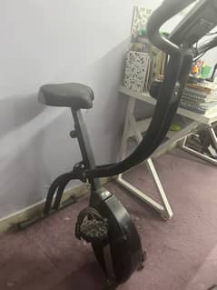 Pleny Exercise Bike