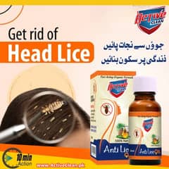 anty lice oil