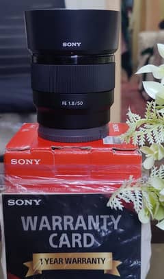 sony 50mm 1.8 full frame Lens