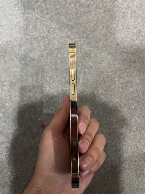 iphone 12 pro 256 gb non pta gold waterpack 2