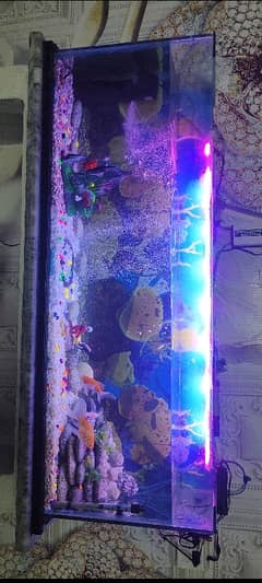 aquarium for sale