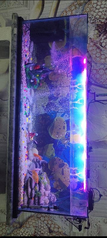 aquarium for sale 0