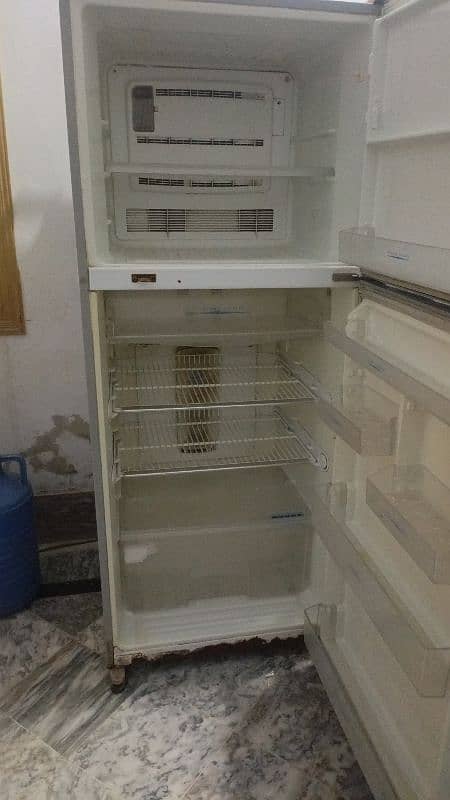 fridge 5