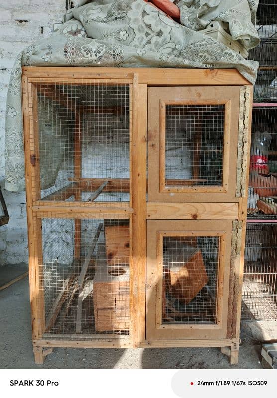 parrot colony cage 4