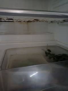 Dawlance Refrigerator for sale