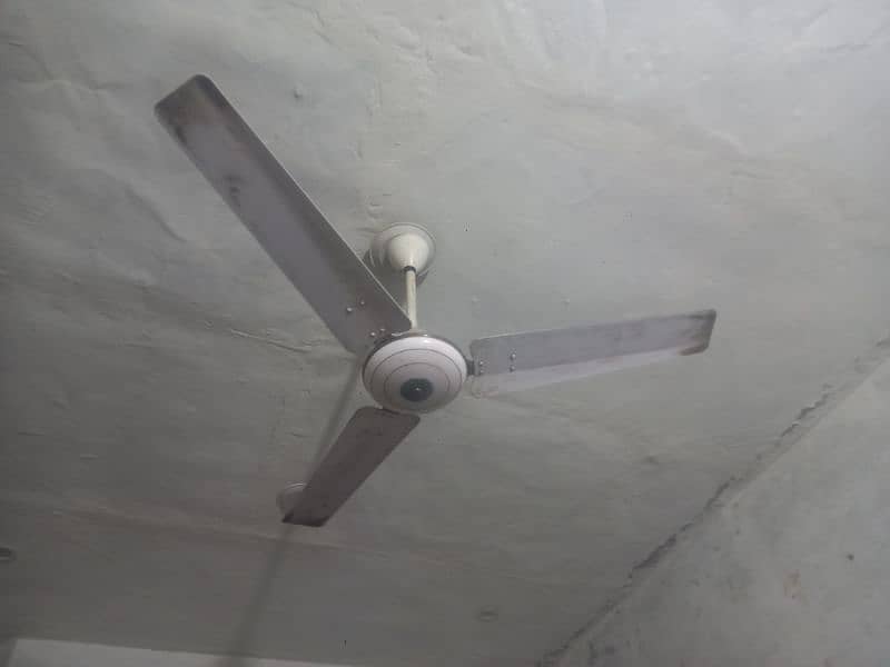 cieling Fans 5 fans available for sales 0