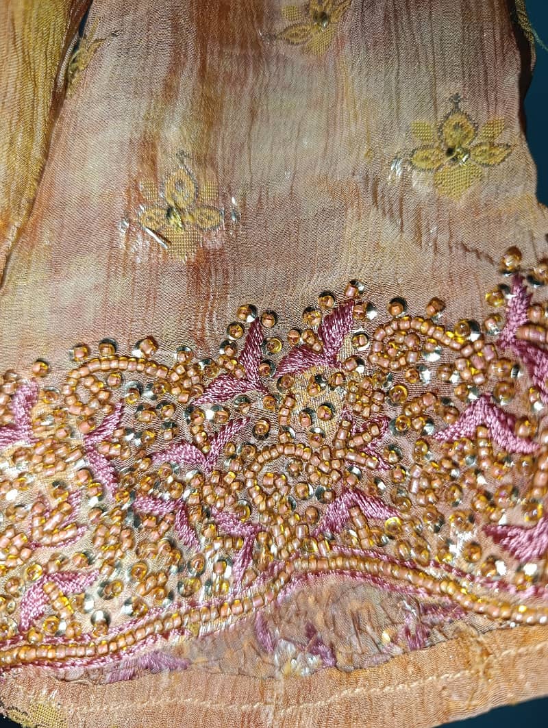 Shifon banarasi embroidery formal 2