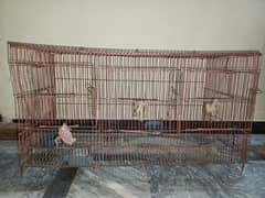 Cage for cats and parrots