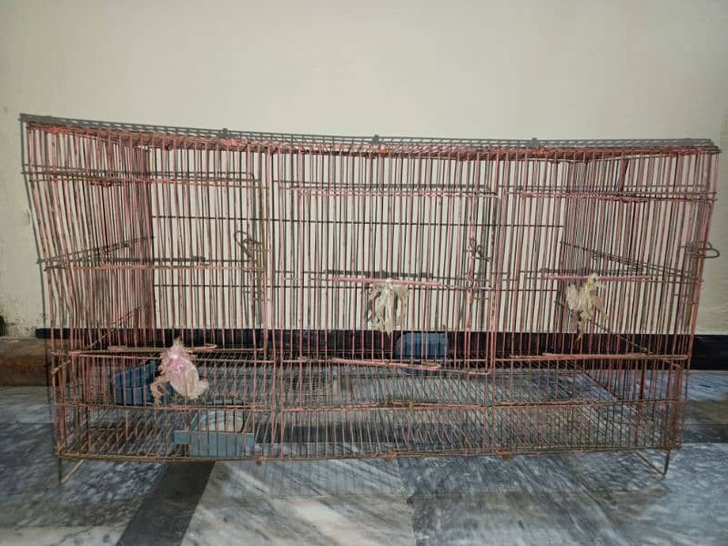 Cage for cats and parrots 0