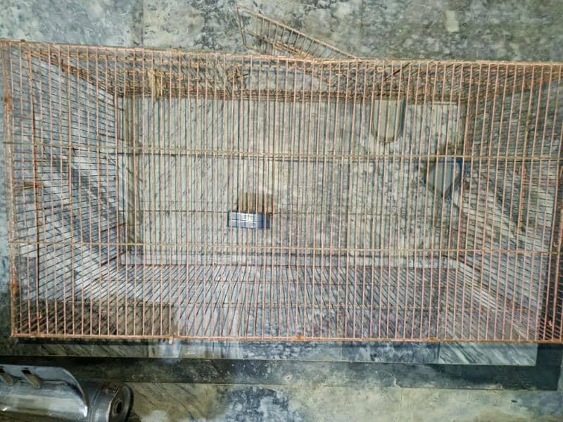 Cage for cats and parrots 1