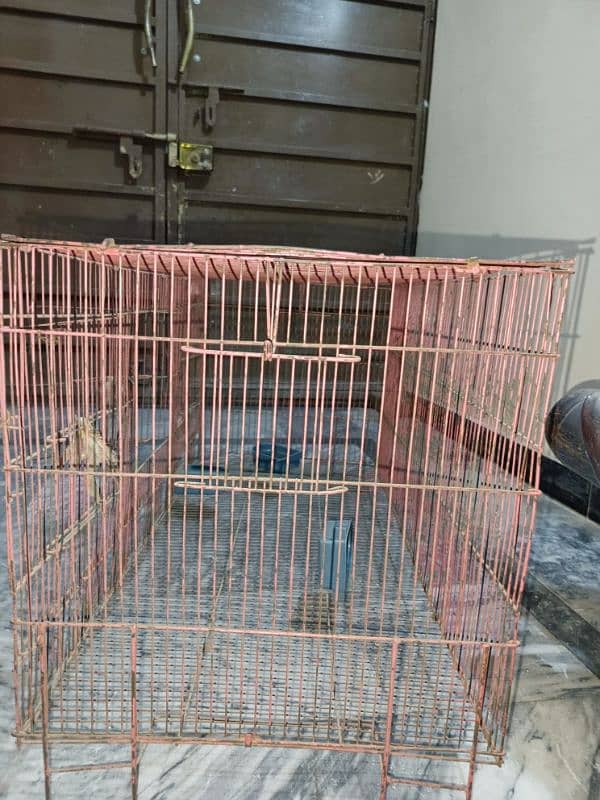 Cage for cats and parrots 2