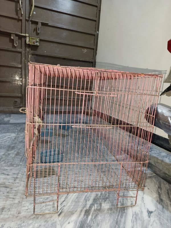 Cage for cats and parrots 3