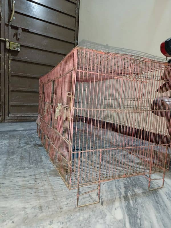 Cage for cats and parrots 4