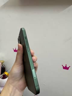 iphone 13 green color