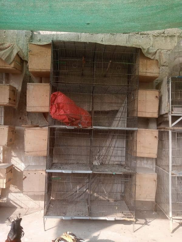 cages 8 portions size 15/15 lovebirds or cocktail k box bhi hai 1