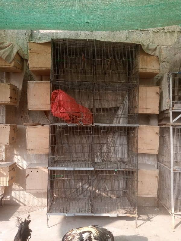 cages 8 portions size 15/15 lovebirds or cocktail k box bhi hai 2