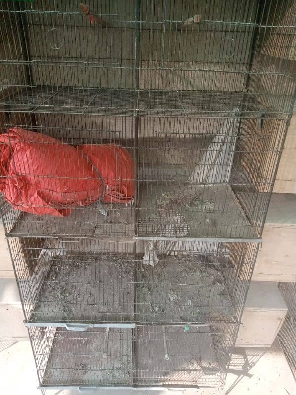 cages 8 portions size 15/15 lovebirds or cocktail k box bhi hai 3