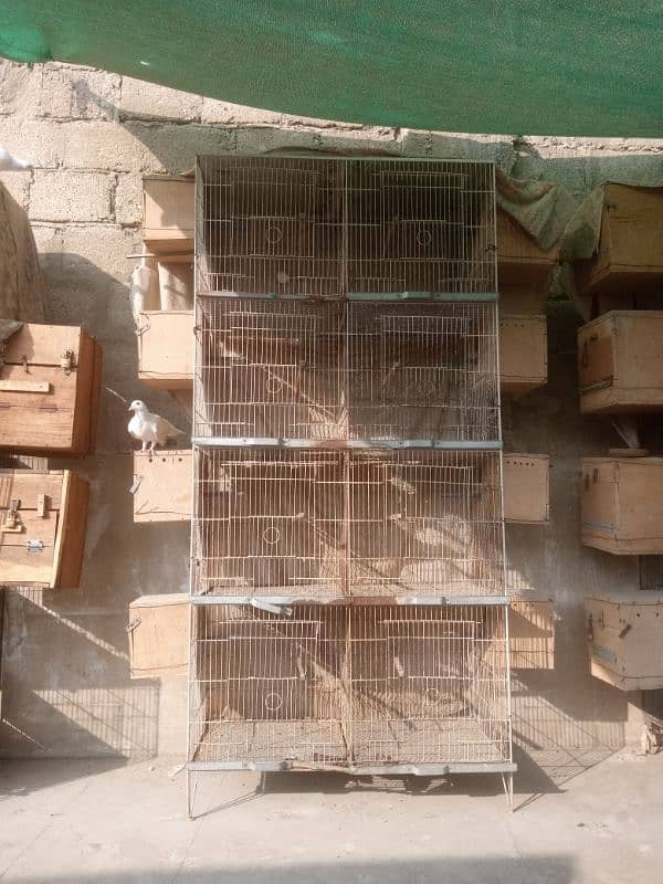 cages 8 portions size 15/15 lovebirds or cocktail k box bhi hai 4