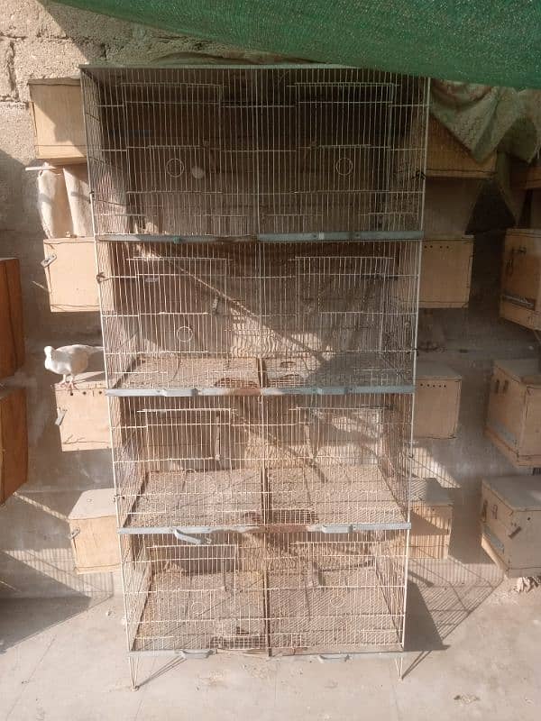 cages 8 portions size 15/15 lovebirds or cocktail k box bhi hai 5