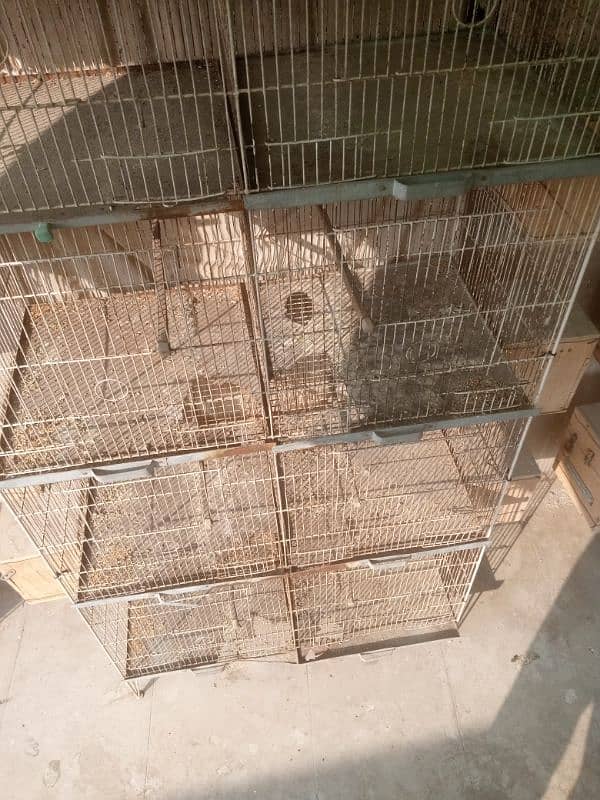 cages 8 portions size 15/15 lovebirds or cocktail k box bhi hai 6