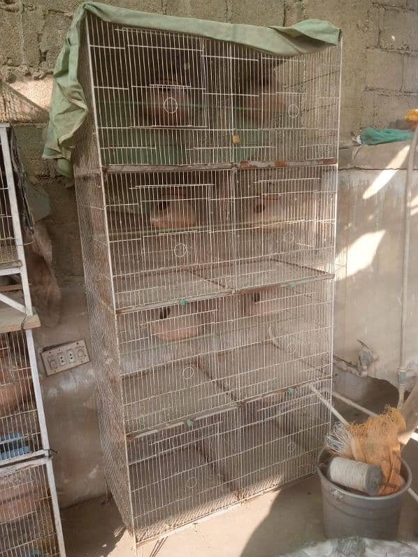 cages 8 portions size 15/15 lovebirds or cocktail k box bhi hai 7