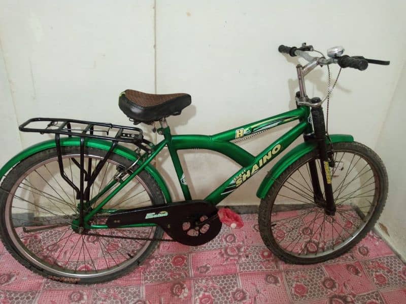 Large size Bicycle 2