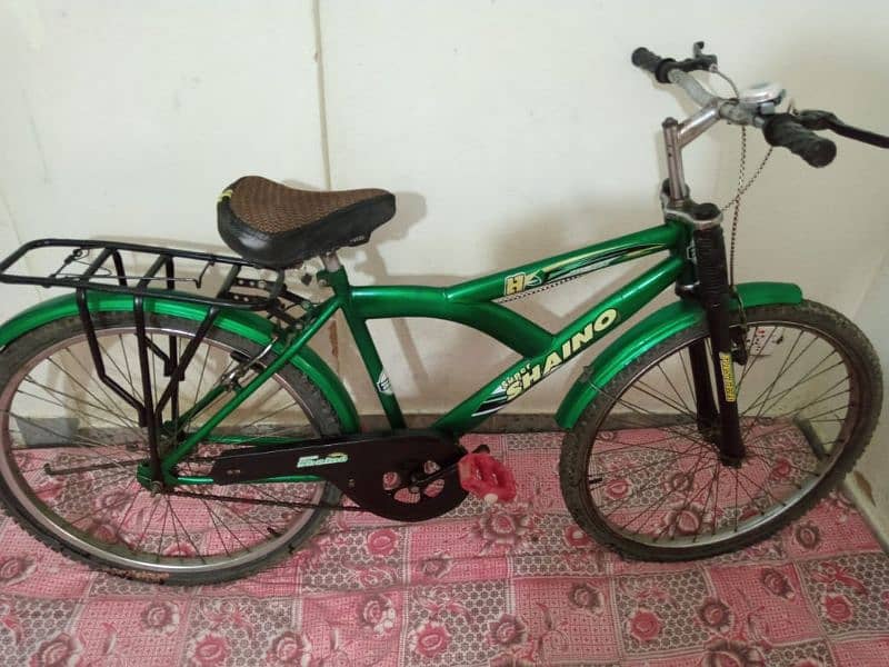 Large size Bicycle 3