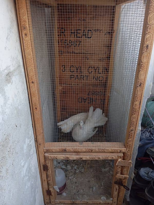 pigeon and cage sell 0