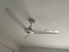 Ceiling Fans - Pak Fans