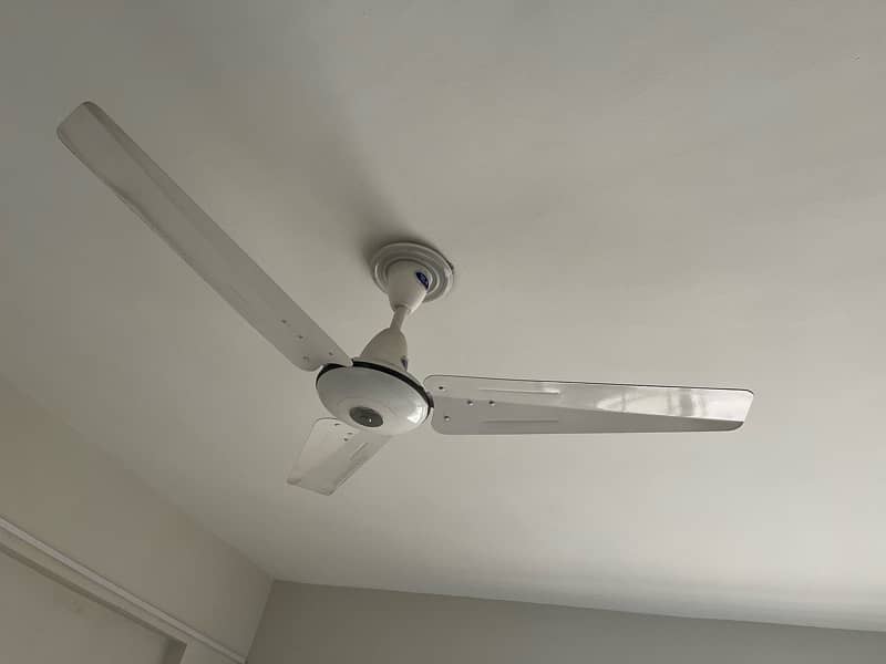 Ceiling Fans - Pak Fans 0