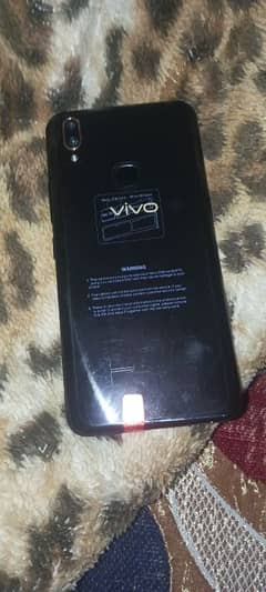 Vivo