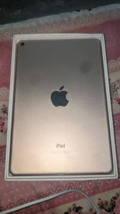 iPadMini