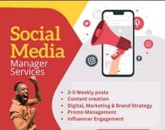 social media manager services