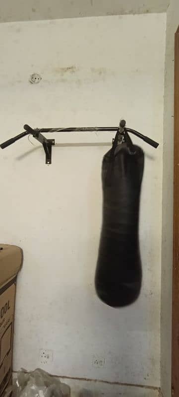 weight, dumbles, boxing bag and hanging bar 3