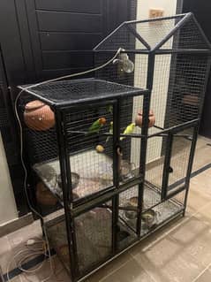 bird cage for sale