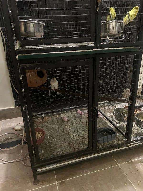 bird cage for sale 1